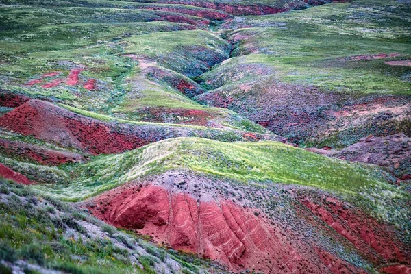 Vista próxima do solo vermelho e grama verde da montanha Big Bogdo. Rússia — Fotografia de Stock