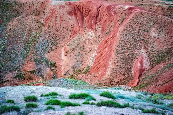 Vista cercana del suelo rojo y la hierba verde de la montaña Big Bogdo. Rusia — Foto de Stock