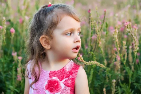 Menina bonito olha para o lado ao ar livre no campo verde. Retrato infantil — Fotografia de Stock