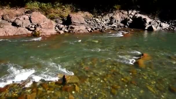 Paisaje de invierno con río de montaña — Vídeos de Stock