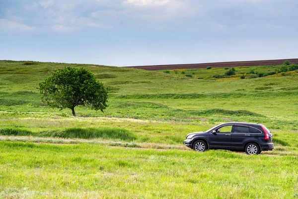 Crossover parked in the coutry on road next to steppe field — Stock Photo, Image