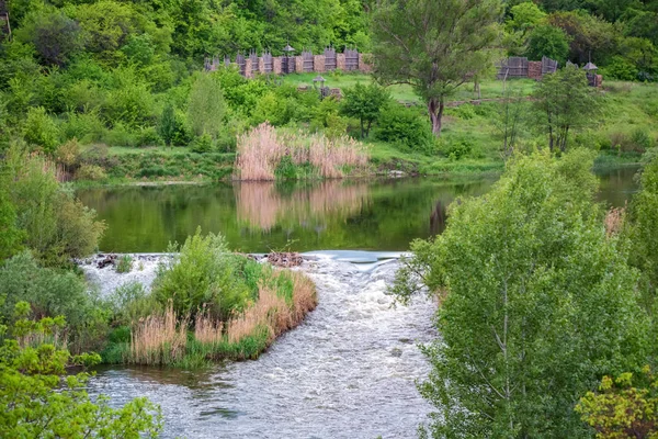 Paesaggio tranquillo con alberi verdi e canna sulla riva del fiume — Foto Stock
