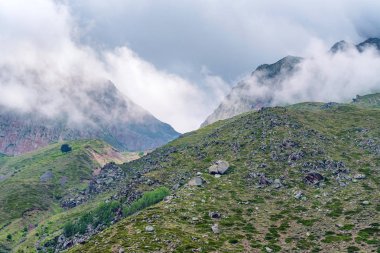 Sisli dağların manzarası. Bulutlar ve yeşil orman manzarası