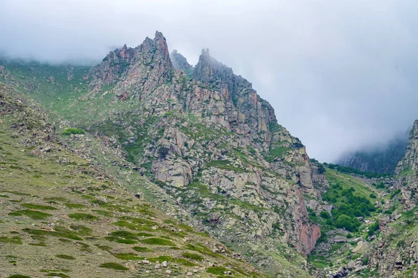 Vista panorámica de las montañas brumosas. Nubes y verde vista del bosque de montaña — Foto de Stock