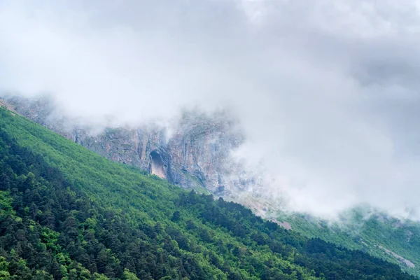 Scenic view of foggy mountains. Clouds and green mountain forest view