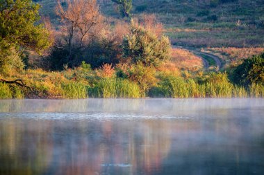 Nehir kıyısında yeşil güneşli ağaçlar ve baston ile huzurlu manzara