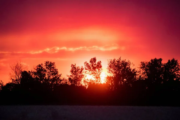 Закат в стране с силуэтами деревьев и оранжевым драматическим небом — стоковое фото