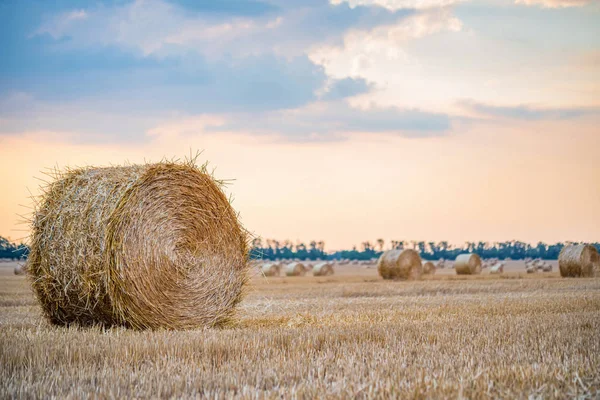 Grote ronde hooiberg op veld op het platteland — Stockfoto