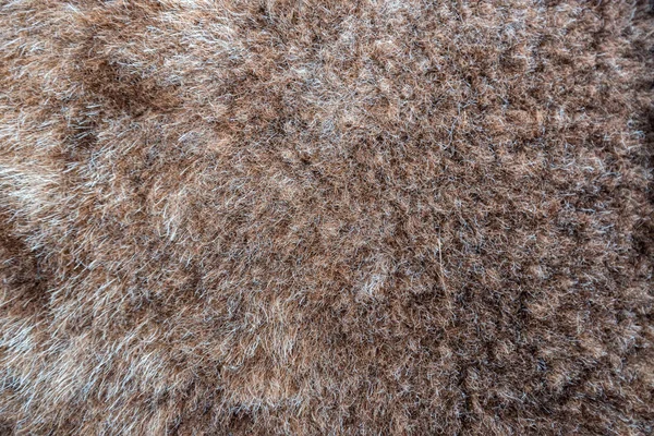 Nahaufnahme von natürlichen braunen Fell Textur Hintergrund — Stockfoto