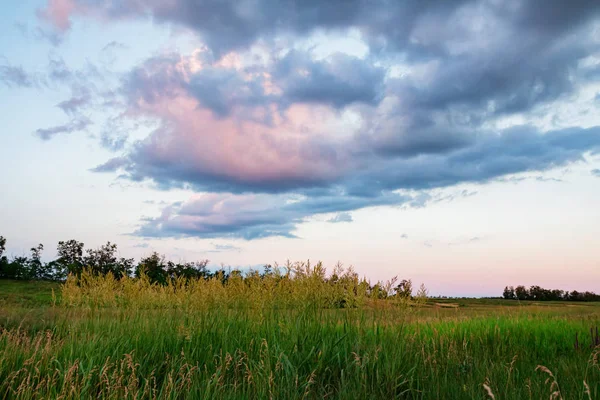 Güzel pitoresk bahar yatay, yeşil bozkır