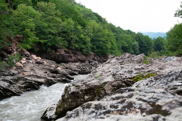 Nyári táj hegyi folyóval, sziklákkal és zölderdővel — Stock Fotó