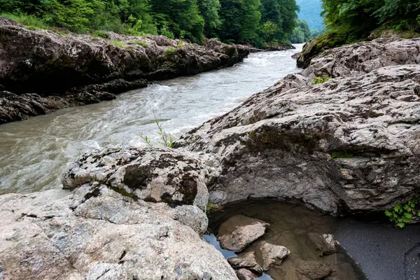 Літній пейзаж з гірською річкою, скелями та зеленим лісом — стокове фото