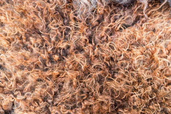 Gros plan de la texture naturelle de la fourrure brune — Photo