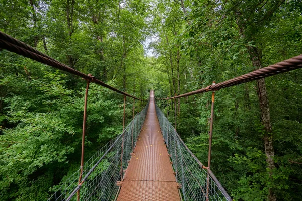 Jembatan logam sempit kaki melintasi hutan hijau di musim panas — Stok Foto