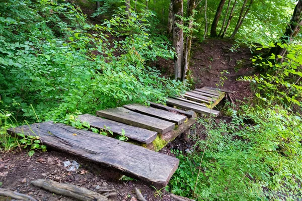 Kleine Holzbrücke im grünen Wald schließen — Stockfoto