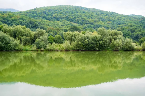 Мирний пейзаж з зеленими деревами на березі річки в степу — стокове фото