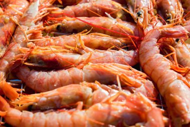 Taze ham langoustines bir arka plan olarak yakın