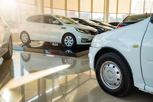 Carros novos na vista perto do showroom do negociante iluminado do sol — Fotografia de Stock