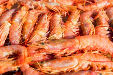 Taze ham langoustines bir arka plan olarak yakın