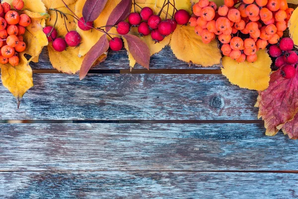 Fondo plano de otoño temático. Tablones de madera, hojas rojas y bayas — Foto de Stock