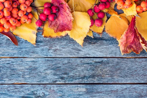 Fondo plano de otoño temático. Tablones de madera, hojas rojas y bayas — Foto de Stock