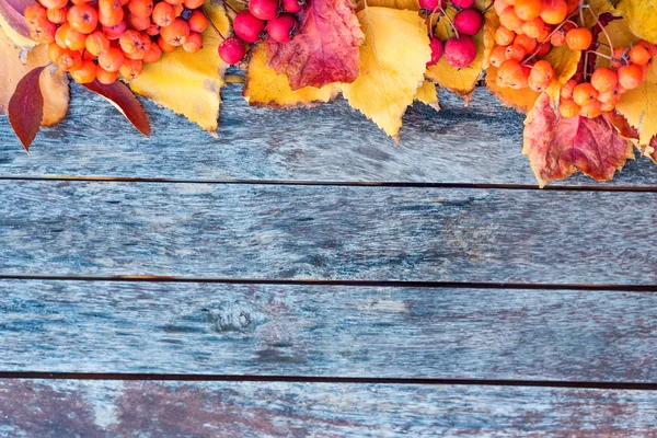Fondo plano de otoño temático. Tablones de madera, hojas rojas y bayas — Foto de Stock