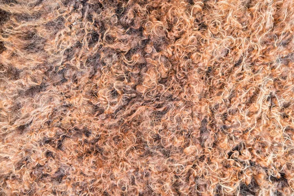 Close up of natural brown fur texture background — Stock Photo, Image