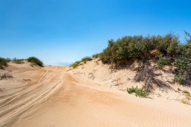 Kum üzerinde lastik izleri ile yarı çöl manzara
