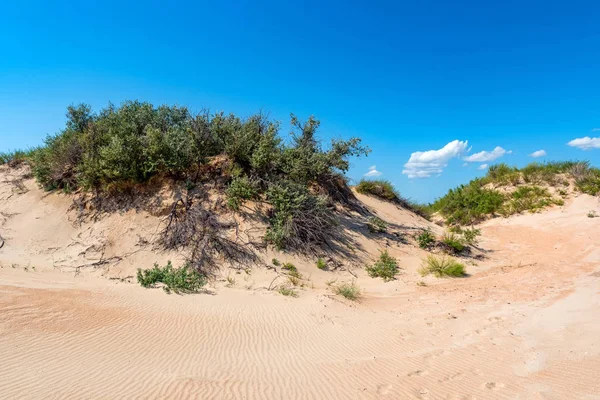 Areia semi-desértica e vegetação no dia ensolarado — Fotografia de Stock