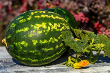 Ahşap tahta üzerinde çiçekler taze karpuz