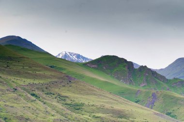 Sisli dağların manzarası. Bulutlar ve yeşil orman manzarası