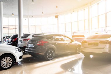 Sunlit Shop Shop 'un yeni arabaları