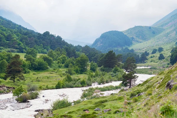 Hermosa vista lejana del río de montaña en verano — Foto de Stock