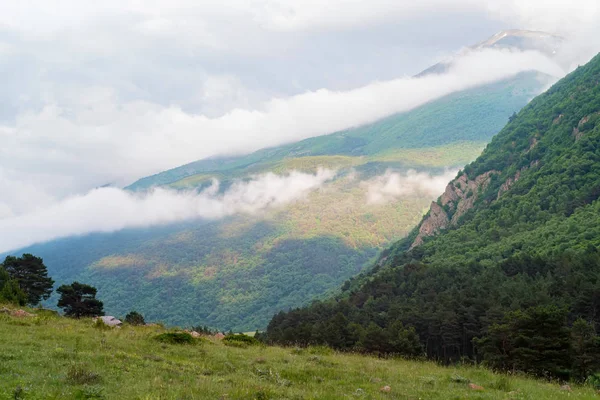 Vista panorámica de las montañas brumosas. Nubes y verde vista del bosque de montaña — Foto de Stock