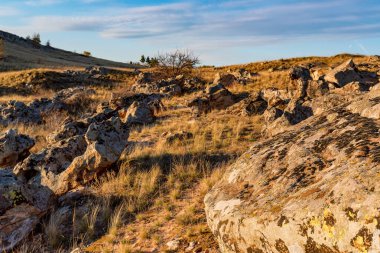 Don Steppe 'in sonbaharda batan güneşle aydınlatılmış güzel manzarası