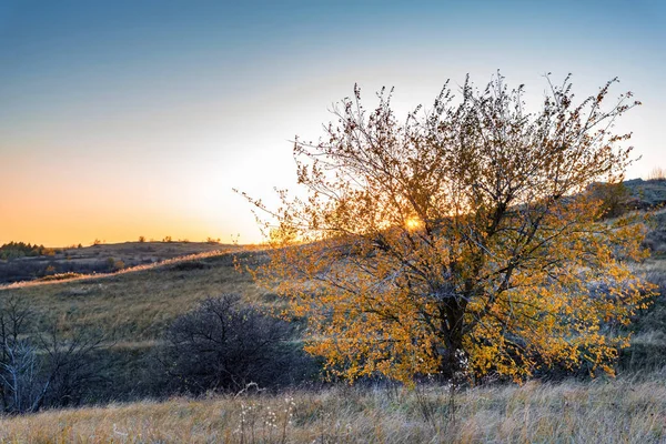 Bela vista de Don estepe no outono iluminado pelo pôr do sol — Fotografia de Stock