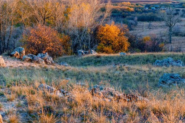 Belle vue sur la steppe Don en automne éclairée par le soleil couchant — Photo