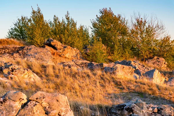 Bela vista de Don estepe no outono iluminado pelo pôr do sol — Fotografia de Stock