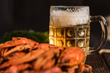 Ahşap arka plan üzerinde bira ile haşlanmış kerevit