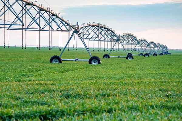 Drip irrigation system in field — Stock Photo, Image