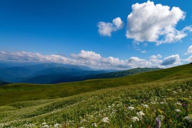 Sonsuz mavi gökyüzü ve bulutlarıyla güzel bir dağ çayırı.