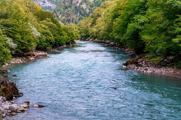 Осінній пейзаж з гірською річкою та зеленим лісом — стокове фото