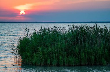 Baston ve nehir üzerinde yaz günbatımı