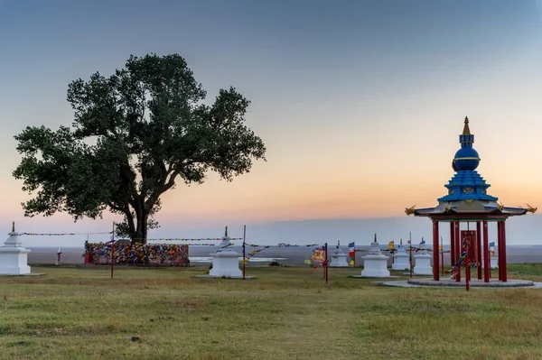 Eenzame populier in een Boeddhistische tempel bij zonsondergang — Stockfoto