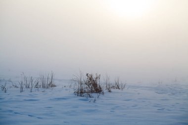 Kırsal kış manzara gün batımında