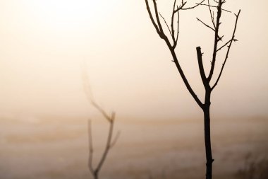 Kırsal kış manzara gün batımında