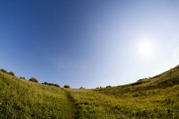 Landschap Van Het Platteland Zomer — Stockfoto