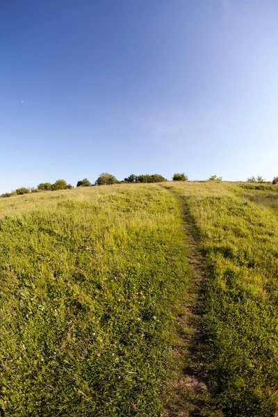 Countryside Krajobraz Lecie — Zdjęcie stockowe