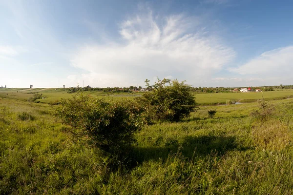 Landschap Van Het Platteland Zomer — Stockfoto