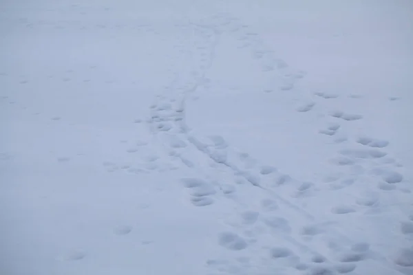 Abstract snow shapes - snow texture